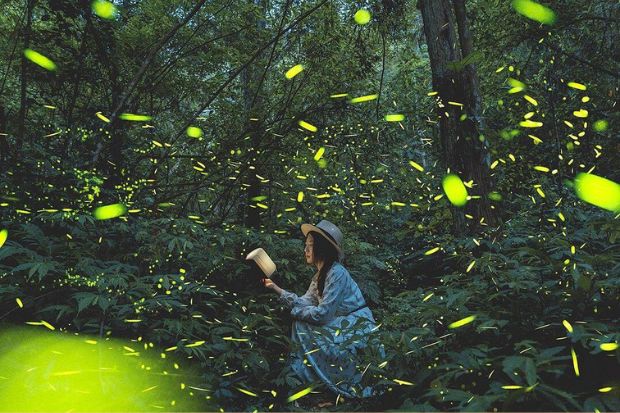 Du lịch Đài Loan mùa xuân - Ngắm đom đóm