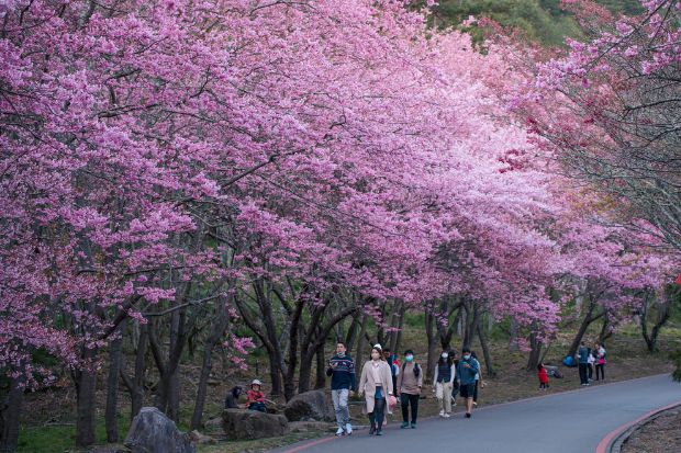 Du lịch Đài Loan mùa xuân - Lưu ý du lịch