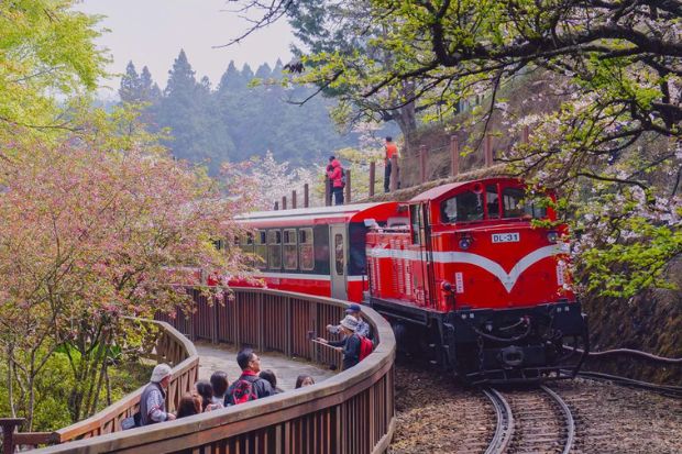 Du lịch Đài Loan mùa xuân - Núi Alishan