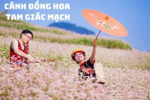 Tour du lịch Hà Nội – Hà Giang – Cao Bằng – Thác Bản Giốc – Hang Pác Bó – Hồ Ba Bể dịp Lễ 30/4/2024