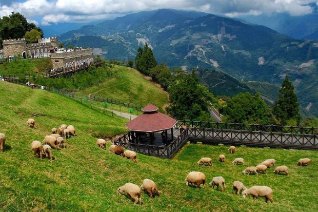 Kinh nghiệm du lịch Cingjing Farm - Lưu &yacute;