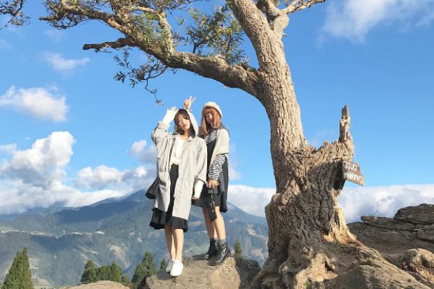 Kinh nghiệm du lịch Cingjing Farm - Tọa độ checkin