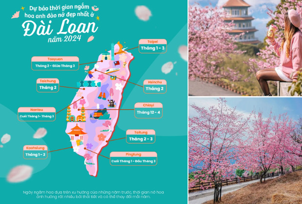 lịch ngắm hoa anh đào đài loan - Hoa anh đào Đài Loan nở vào tháng mấy 