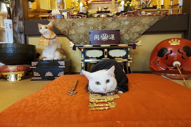 Ho&agrave;ng thượng tại ng&ocirc;i đền Nyan Nyan Ji 