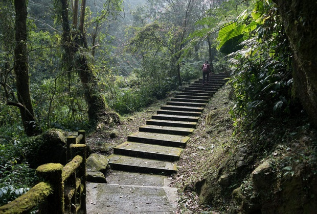 núi a lý sơn đài loan - tản bộ trên những con đường mòn xuyên rừng