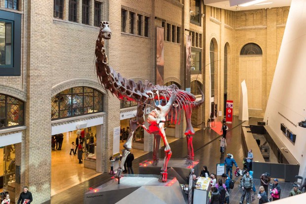 bảo tàng hoàng gia Ontario