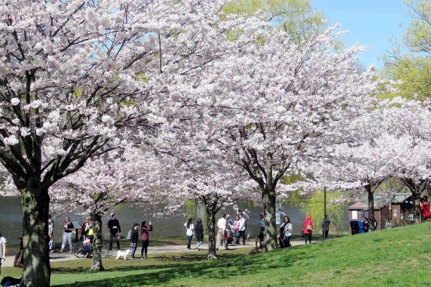 Công viên High Park Toronto