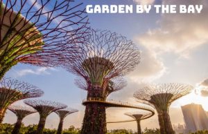 Tour du lịch Lễ 30/4 – Du lịch Singapore – Sentosa – Garden By The Bay 2024