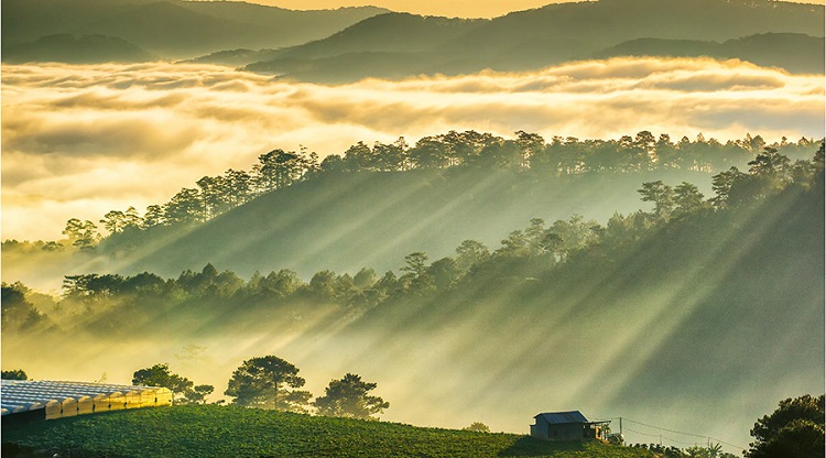Thời gian lý tưởng du lịch Đà Lạt