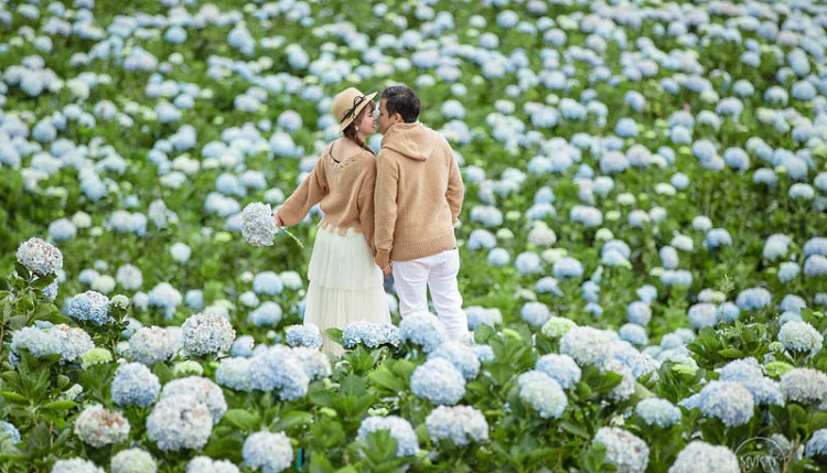 Thời điểm du lịch Đà Lạt