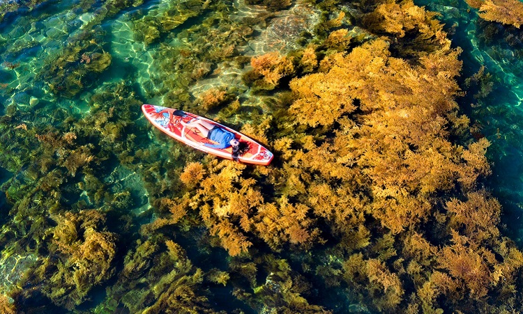 Thời điểm du lịch Quy Nhơn