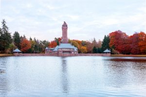 Vườn quốc gia Hoge Veluwe: Thiên nhiên hoang dã giữa lòng Hà Lan
