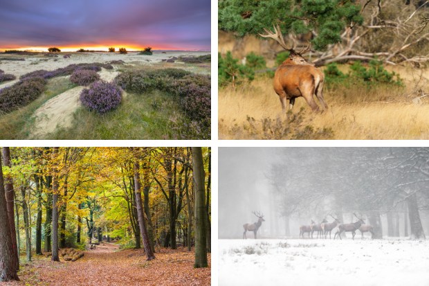 vườn quốc gia Hoge Veluwe