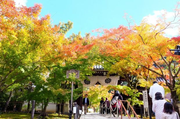 Cẩm nang du lịch Kyoto - Chùa Eikando