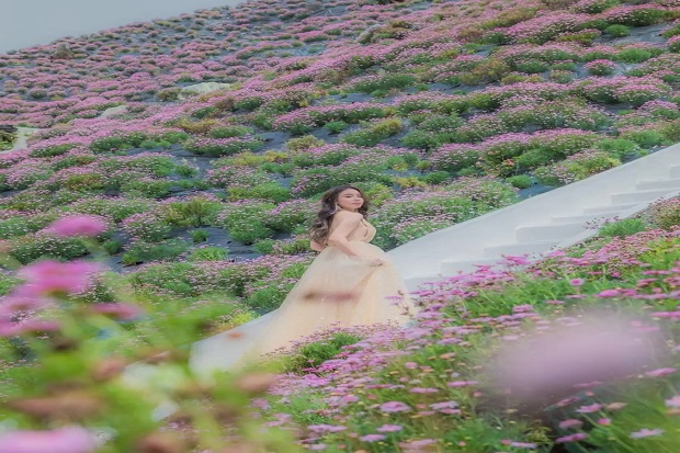 Vườn Hoa Lavender tại cao nguyên Cameron