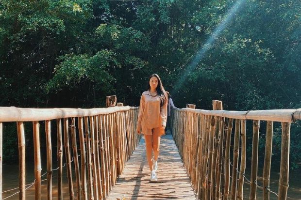 Cầu treo Buôn Đôn - Đôi nét về cầu treo