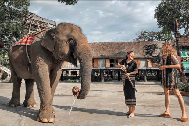 Cầu treo Buôn Đôn - Chụp ảnh cùng voi