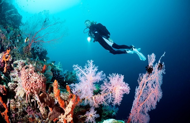 đảo bunaken - Đảo Bunaken Indonesia nằm ở đâu