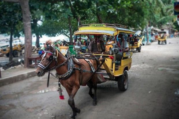 Đảo Lombok - Cidomo