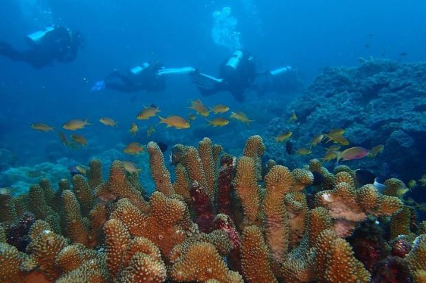 Đảo Raja Ampat - Đại dương