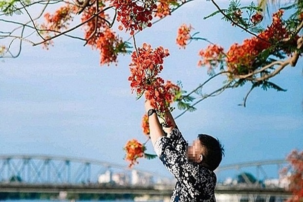 Điều cấm kỵ du lịch Malaysia - Bẻ hoa lá, cây cỏ ven đường