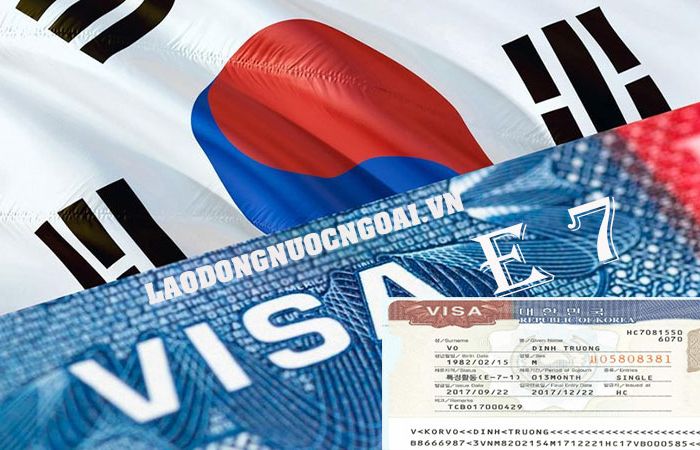 Lợi ích khi sở hữu visa E7 Hàn Quốc