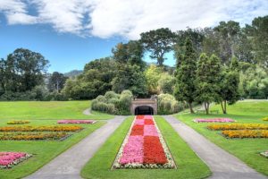 Golden Gate Park: Viên ngọc bích giữa lòng San Francisco
