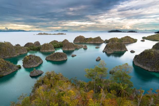 Kinh nghiệm du lịch Indonesia tự túc - Đảo West Papua