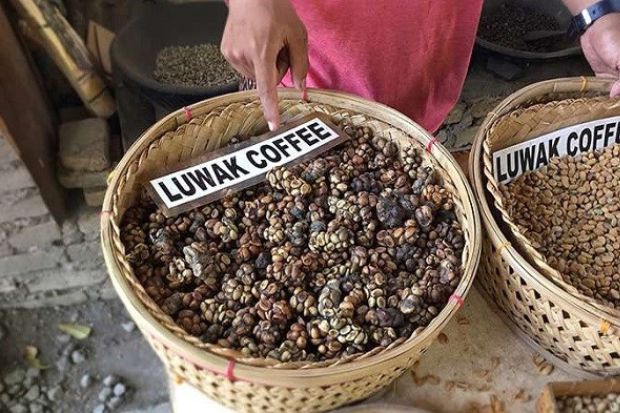 Kinh nghiệm mua sắm du lịch Indonesia - Cà phê