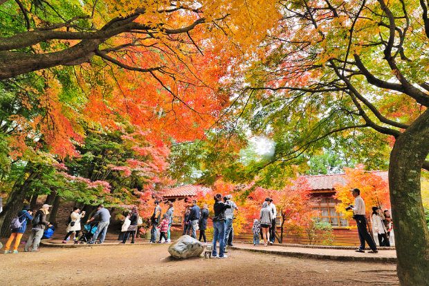 Lý do nên đến Đài Loan - Lưu ý du lịch