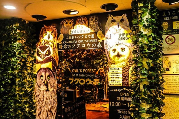 Quán cà phê ở ngôi làng cổ tích Yufuin 