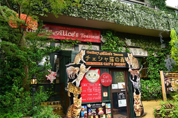 Ngôi làng cổ tích Yufuin - Gallery Alice’s Tearoom