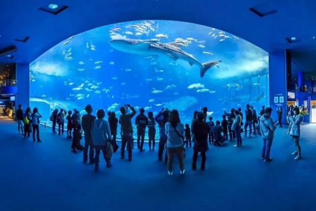 Bể cá khổng lồ trong thủy cung Osaka