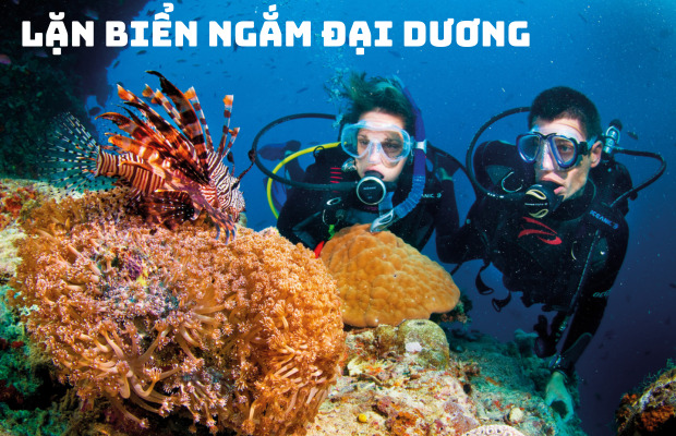 Tour 3 Đảo VIP Nha Trang: Khám Phá Hòn Tằm Trọn Gói Trong Một Ngày