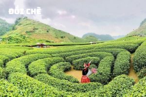 Tour du lịch Hà Nội – Mộc Châu – Sơn La – Điện Biên – Sapa – Phú Thọ 6N5Đ dịp Lễ 30/4/2024