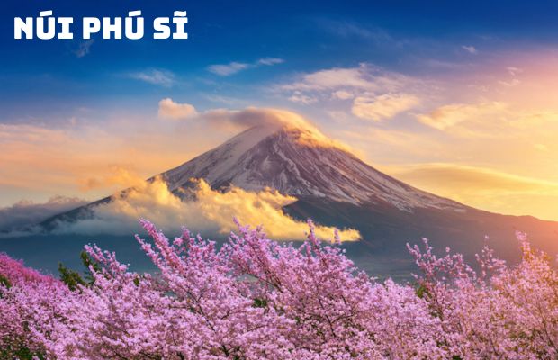 Tour du lịch Nhật Bản 4 ngày 3 đêm Lễ 30/4/2024 ngắm hoa chi anh