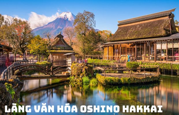 Tour du lịch Nhật Bản 4 ngày 3 đêm Lễ 30/4/2024 ngắm hoa chi anh