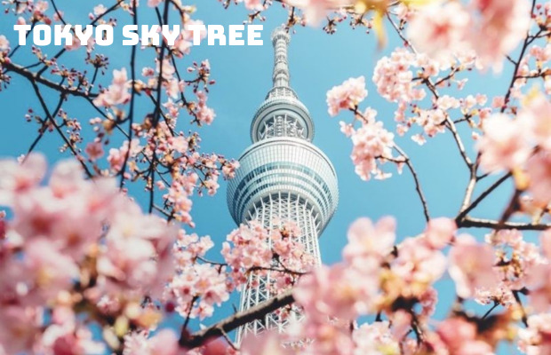 Tour du lịch Lễ 30/4 Nhật Bản 5N4Đ | Tokyo – Hakone – Fuji – Odaiba 2024