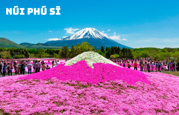 Tour du lịch Lễ 30/4 Nhật Bản 5N4Đ | Tokyo – Hakone – Fuji – Odaiba 2024