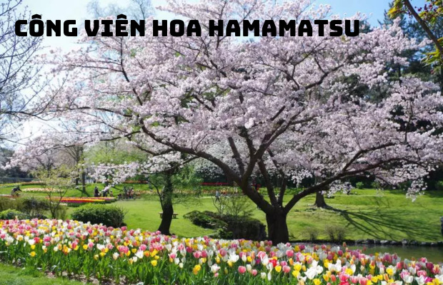 Tour du lịch Nhật Bản lễ 30/4 5N5Đ đi Osaka – Kyoto – Nara – Fuji – Tokyo