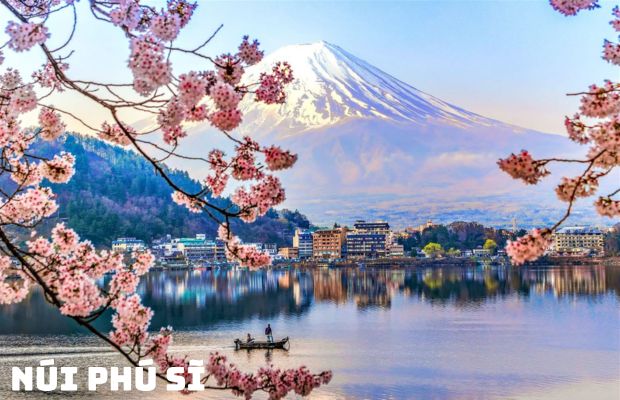 Tour hoa anh đào Nhật Bản 5N5Đ: Ngắm hoa anh đào Cung đường vàng
