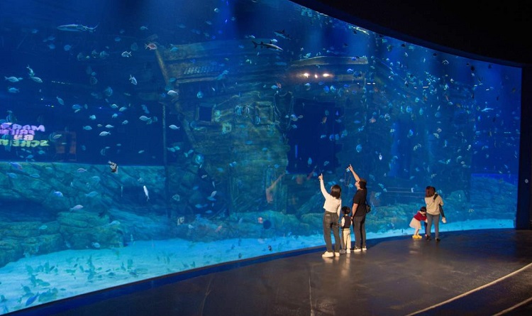 Thủy cung Lotte World 