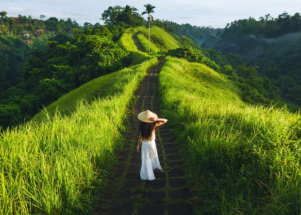 Con đường tình yêu - Campuhan Ridge Walk mang đến sự yên bình và thư giãn lạ thường Campuhan Ridge Walk