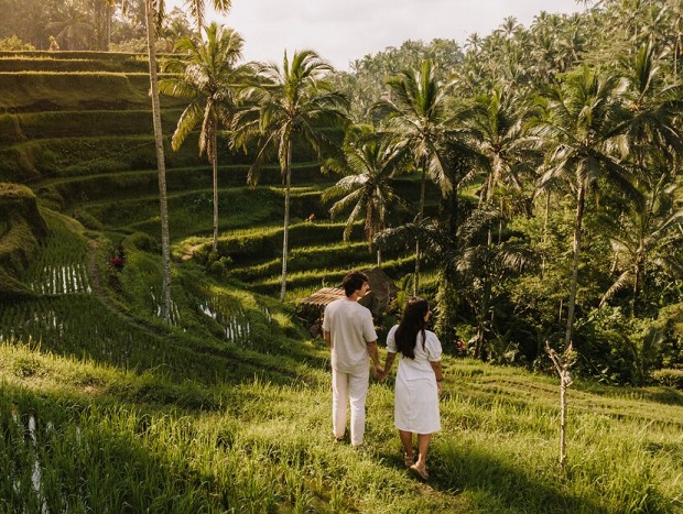 Ruộng bậc thang Tegalalang là điểm đến được đông đảo du khách khen ngợi về vẻ đẹp mộc mạc và trong lành Ruộng bậc thang Tegalalang