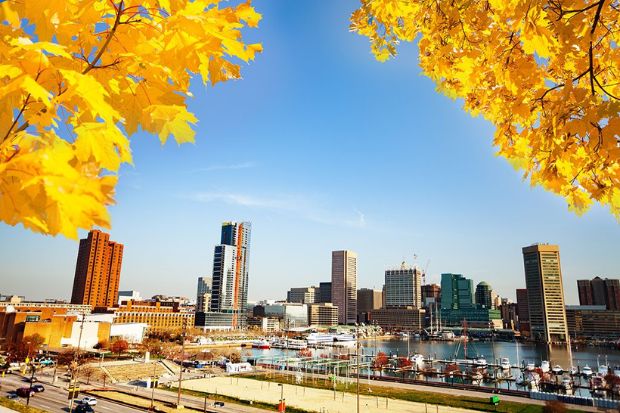 Inner Harbor Baltimore giữa sắc v&agrave;ng m&ugrave;a thu, Maryland, Mỹ