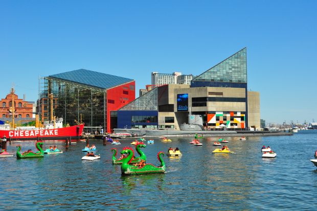 Thủy cung Quốc gia v&agrave; thuyền rồng tại Inner Harbor, Baltimore