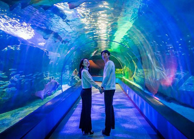 Viện hải dương Busan Aquarium là địa điểm tham quan thích hợp cho mọi lứa tuổi  Viện hải dương Busan Aquarium