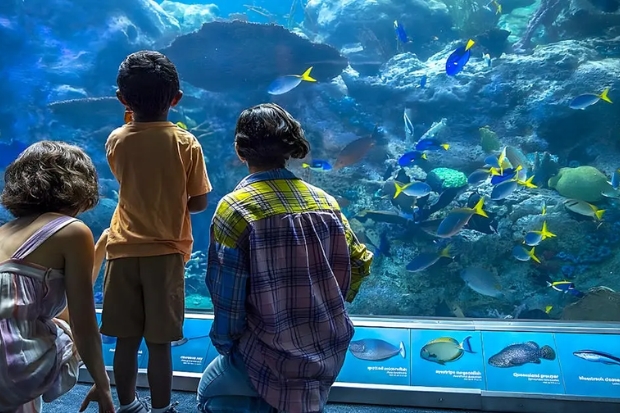 Aquarium of the Pacific l&agrave; một trong những thủy cung lớn v&agrave; nổi tiếng nhất khu vực Nam California