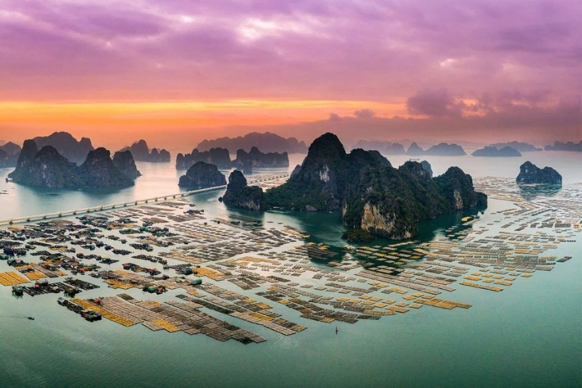 Vịnh B&aacute;i Tử Long - Sở hữu h&agrave;ng trăm h&ograve;n đảo đ&aacute; v&ocirc;i kỳ vĩ soi b&oacute;ng xuống l&agrave;n nước xanh lục bảo