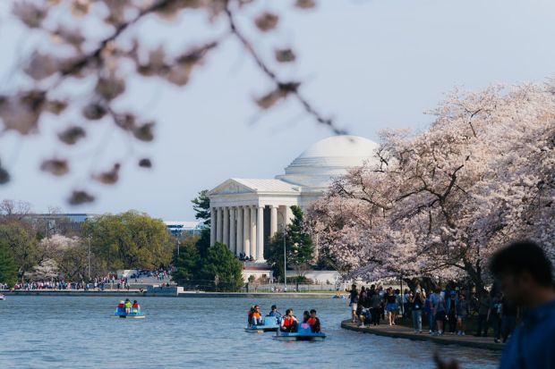 Đ&agrave;i tưởng niệm Thomas Jefferson b&ecirc;n hồ Tidal Basin &ndash; điểm ngắm hoa anh đ&agrave;o nổi tiếng nhất Washington, D.C. v&agrave;o m&ugrave;a xu&acirc;n